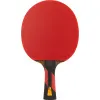 Ракетка для н/т DOUBLE FISH 7A+C, для професс.,ITTF Appr.,накл.2,1мм,+ 2 мяча V40+мм ITTF Appr за 3&nbsp;559.80 ₽ купить в Кемерове