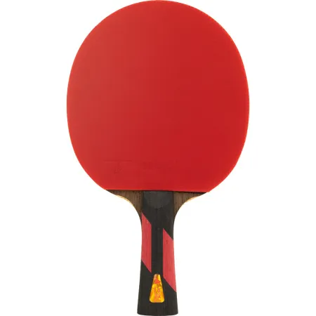 Ракетка для н/т DOUBLE FISH 7A+C, для професс.,ITTF Appr.,накл.2,1мм,+ 2 мяча V40+мм ITTF Appr за 3&nbsp;559.80 ₽ купить в Кемерове