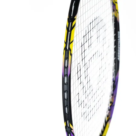 Ракетка бадм. TORRES Carbon PRO6, BD20521,для продв., стерж/обод из карбона,со струнами, фиол за 4&nbsp;477.80 ₽ купить в Кемерове