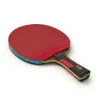 Ракетка для н/т DOUBLE FISH 7A+C, для професс.,ITTF Appr.,накл.2,1мм,+ 2 мяча V40+мм ITTF Appr за 3&nbsp;559.80 ₽ купить в Кемерове