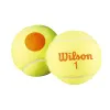 Мяч теннисный детский WILSON Starter Orange, WRT137300, ITF, фетр, нат.рез, уп.3шт, оранж за 1&nbsp;077.80 ₽ купить в Кемерове