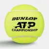 Мяч теннисный Dunlop ATP Championship 4B, 601627, уп.4ш, одобр. ITF, нат.резина,фетр. за 1&nbsp;242.70 ₽ купить в Кемерове