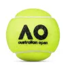Мяч теннисный Dunlop Australian Open, 601601, уп..3 шт, одобр.ITF,фетр,нат.резина, желтый за 1&nbsp;171.30 ₽ купить в Кемерове