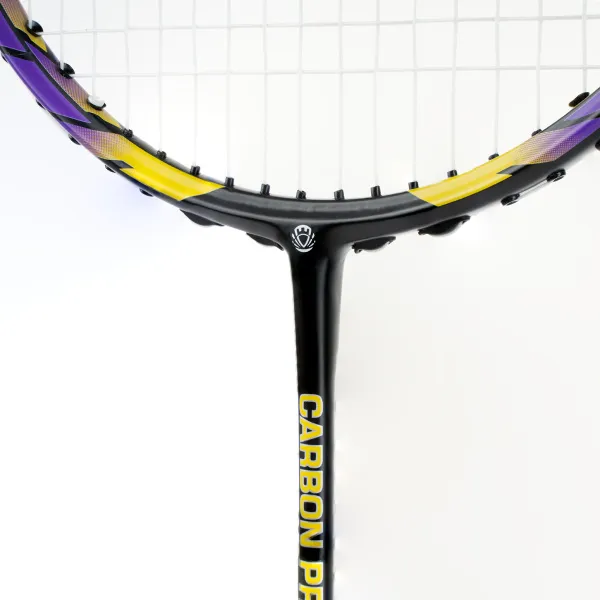 Ракетка бадм. TORRES Carbon PRO6, BD20521,для продв., стерж/обод из карбона,со струнами, фиол за 4&nbsp;477.80 ₽ в Кемерове