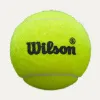 Мяч для падела Wilson Premier Padel Speed, WR8908501001, уп.3 шт, FIP Appr.,сукно, нат.резина,желтый за 1&nbsp;235.90 ₽ купить в Кемерове