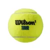 Мяч теннисный WILSON Tour Premier All Court, WRT119400, одобр.ITF, фетр, нат.резина,. уп.4 шт за 1&nbsp;676.20 ₽ купить в Кемерове