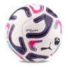 Мяч футб. PUMA Stellar Goal PL Reactivity, 08519301, р.5, 16п, ТПУ, маш. сш, бело-фиолетово-розовый за 6&nbsp;291.70 ₽ купить в Кемерове